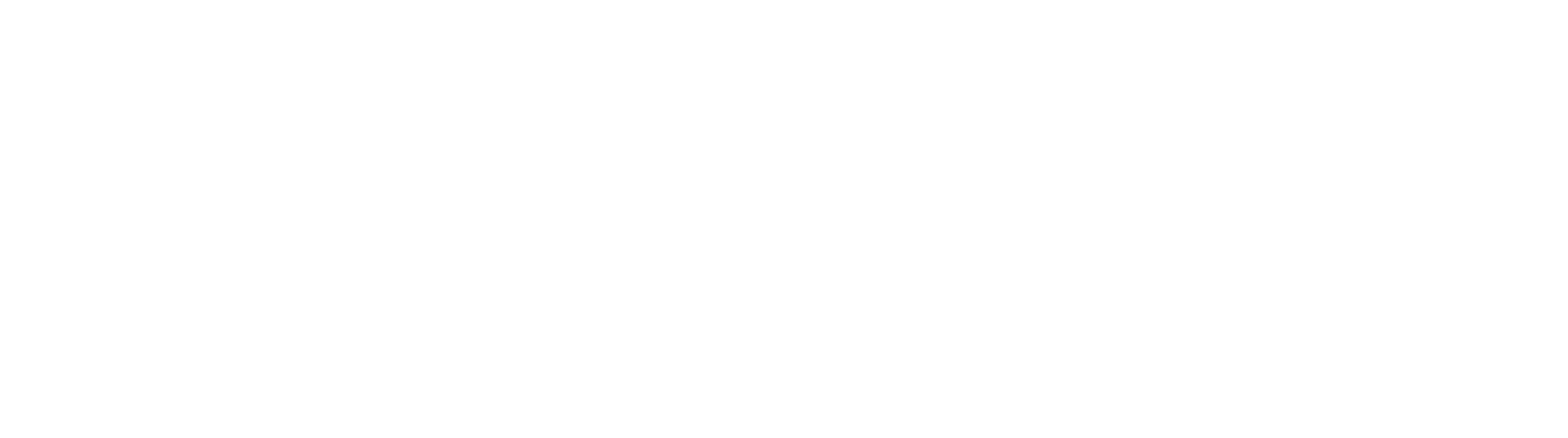 Fivetran_White