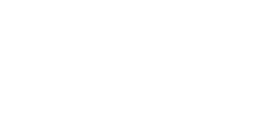 Terzo