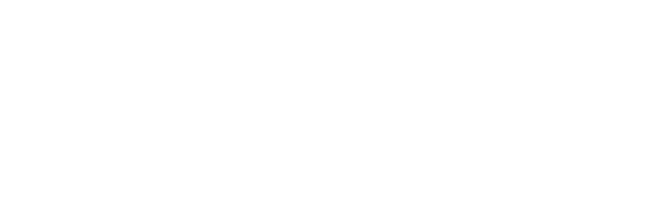 Autoliv_Logo-white